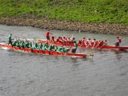3. Dömitzer Drachenbootrennen (20.07.2008)